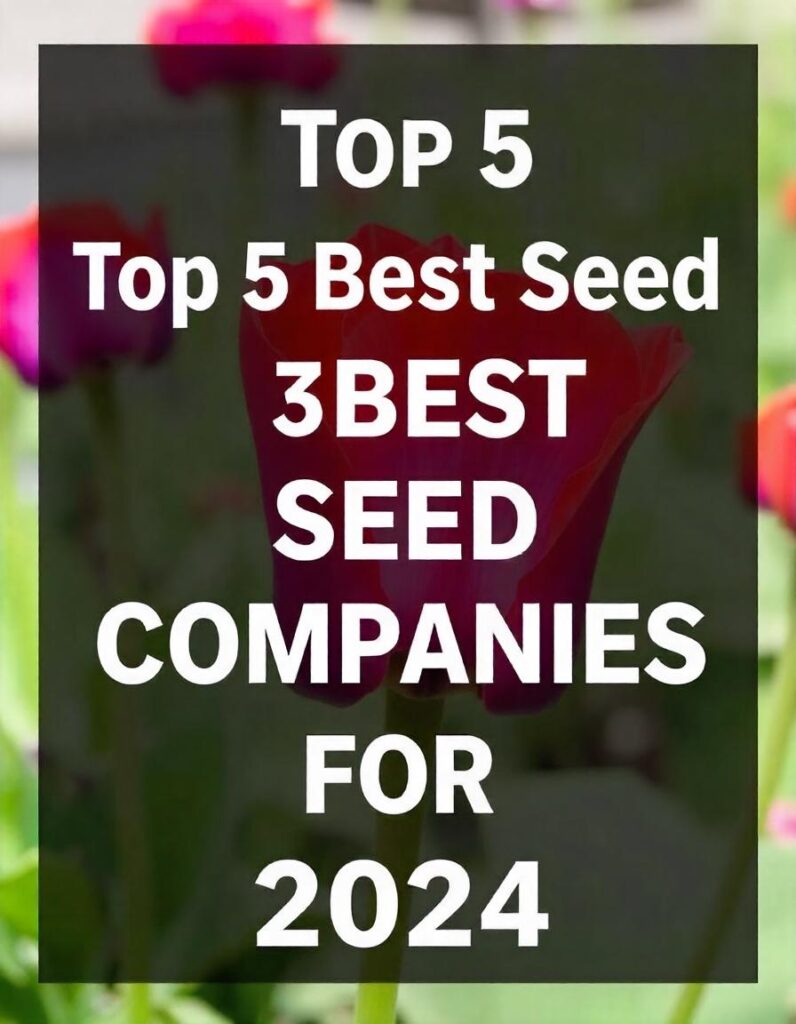 Top 5 Best Seed Companies for 2024 Quality Gardening Seeds